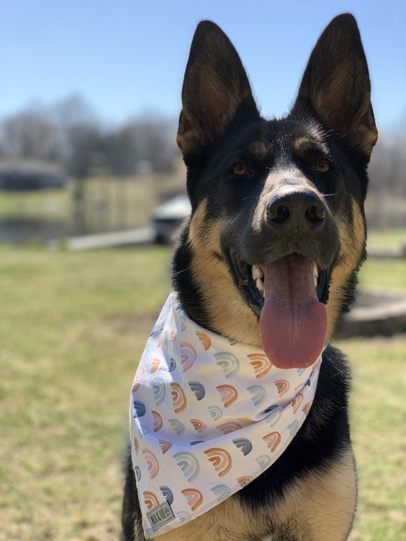 $10 Bandana Sale