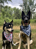 Star Spangled Bandana