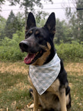 Blue Gingham Bandana