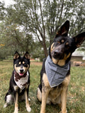 Blue Jean Bandana