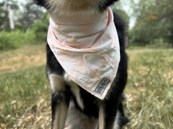 Pink Gingham Bandana