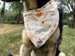 Lulah Bandana