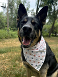 Freedom Bandana