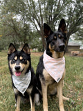 Blue Gingham Bandana