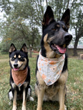 Lulah Bandana