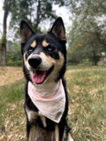 Pink Gingham Bandana