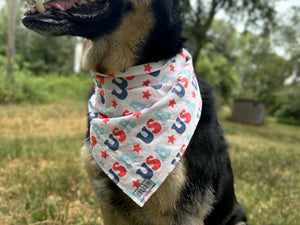 U.S.A. Bandana