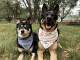 Blue Jean Bandana