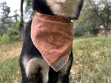 Bandit Bandana