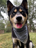 Blue Jean Bandana