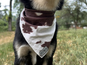 Fjord Bandana