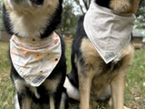 Smokey Bandana