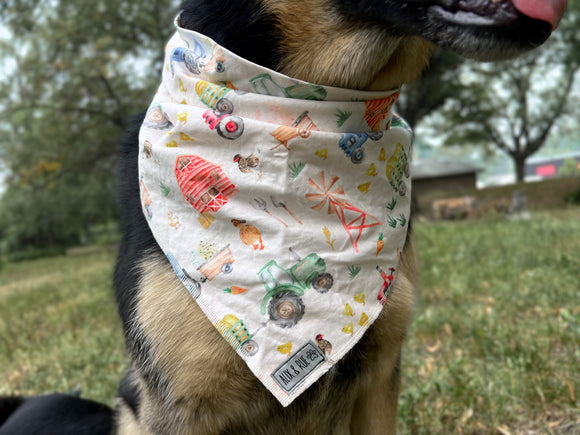 Fred Bandana