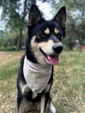 Smokey Bandana