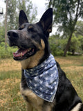 Independence Bandana