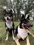 Pink Gingham Bandana