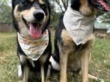 Lulah Bandana