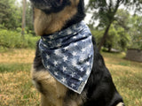 Independence Bandana