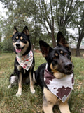 Fjord Bandana