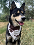 Fjord Bandana