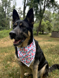 Star Spangled Bandana