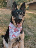 American Spirit Bandana