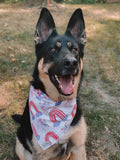 American Spirit Bandana